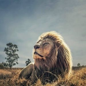 Meet your Posher, Josue